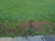 Terreno en Venta en Oza Cesuras