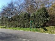 Terreno en Venta en Oza Cesuras