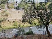 Terreno en venta en Pablo Torres Burgos, Cuautla, Morelos