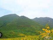 TERRENO EN VENTA EN PACHACAMAC