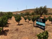 Terreno en venta en Padul, South of spain