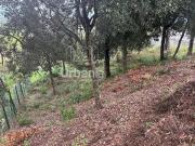 Terreno en venta en Palafolls, de 1.284 m² por 96.000