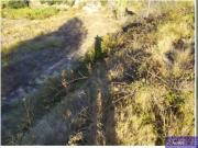Terreno en Venta en Palma de Gandia