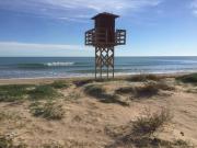 Terreno en Venta en Palma de Gandia