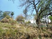 Terreno en venta en Palmira, Terrenos y bienes raíces en...