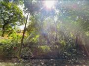 Terreno en venta en Palmira Tinguindin, Cuernavaca, Morelos