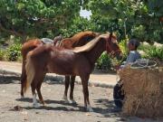 ¡TERRENO EN VENTA EN PARACAS CAMPO Y SEDE NAUTICO!