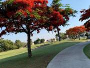 TERRENO EN VENTA EN PARAISO COUNTRY CLUB, EMILIANO...