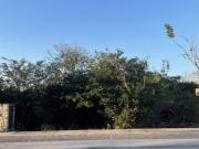 TERRENO EN VENTA EN PASEO COUNTRY AL NORTE DE MÉRIDA