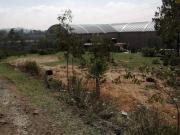 TERRENO EN VENTA EN PASEOS DEL BOSQUE, LAS JULIANAS,...