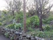 Terreno en venta en Paso el