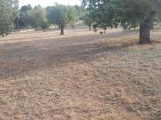 Terreno en venta, en San Antonio de Benagéber, SAN...