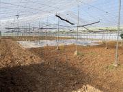 Terreno en Venta en Pedanías Norte