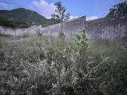 Terreno en Venta en Pedregal de la Montaña, Uro,...