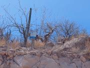 Terreno en venta en Pedregal de, La Paz, Baja California Sur