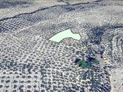 Terreno en Venta en Pegalajar