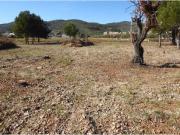 Terreno en Venta en Peníscola Peñíscola