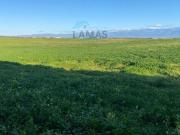 Terreno en Venta en Peraleda de la Mata