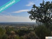 Terreno en venta en Perales del Puerto