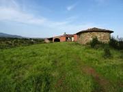 Terreno en Venta en Perales del Puerto
