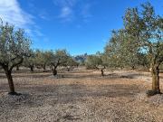 Terreno en venta en Perelló, el Tar, de 11.229 m² por 35.000