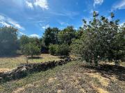 Terreno en venta en Perelló, el Tar, de 4.969 m² por 28.000
