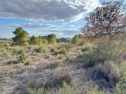 Terreno en Venta en Petrer
