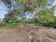 Terreno en venta en Petrolera, Altamira, Tamaulipas