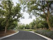 Terreno en venta en Peña Alta, Saltillo, Coahuila de...