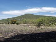 TERRENO EN VENTA EN PIE DE GALLO