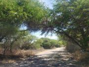 TERRENO EN VENTA EN PIE DE GALLO A 500 M DE CARRETERA
