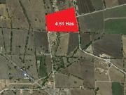 TERRENO EN VENTA EN PIE DE GALLO, A 500 M DE LA...