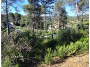 Terreno en Venta en Piera
