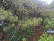 Terreno en venta en Pinar de La Venta, Cancún, Jalisco