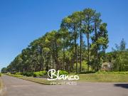 Terreno en Venta en Pinares CC, Exaltación de la Cruz,...