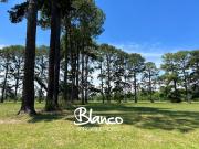 Terreno en Venta en Pinares CC, Exaltación de la Cruz,...