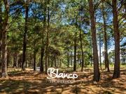 Terreno en Venta en Pinares CC, Exaltación de la Cruz,...