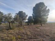 Terreno en venta en Pinoso, A 10 km de Pinoso