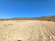 Terreno en Venta en Pinoso El Pinós