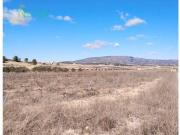 Terreno en Venta en Pinoso El Pinós