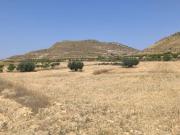 Terreno en Venta en Pinoso El Pinós