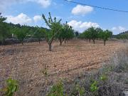 Terreno en Venta en Pinoso El Pinós