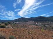 Terreno en Venta en Pinoso El Pinós