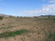 Terreno en Venta en Pinoso El Pinós