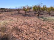 Terreno en Venta en Pinoso El Pinós