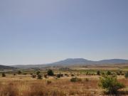 Terreno en Venta en Pinoso El Pinós