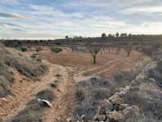 Terreno en Venta en Pinoso El Pinós