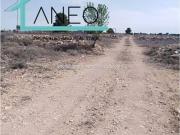Terreno en Venta en Pinoso El Pinós
