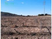 Terreno en Venta en Pinoso El Pinós