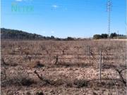 Terreno en Venta en Pinoso El Pinós